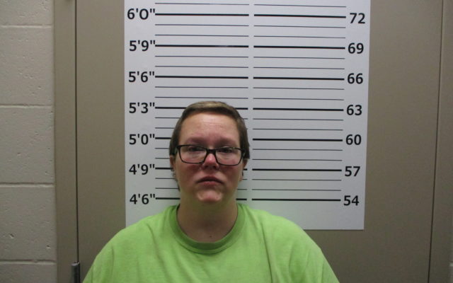 Macon Woman Arrested For Extensive Arson