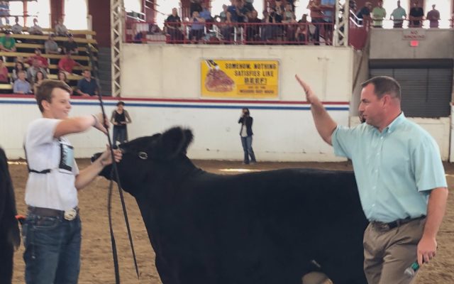 Third Show’s The Charm For Wright City Steer