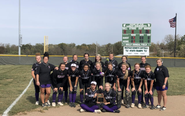 Salisbury Secures Seventh Straight Softball District Title