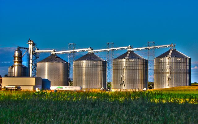 Despite Supply Issues, Missouri Holding Onto More Wheat