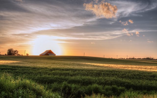 First Crop Progress Report Of Season Boasts Strong Start For Missouri Wheat