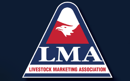Livestock Marketing Association Introduces Scholarship Opportunity