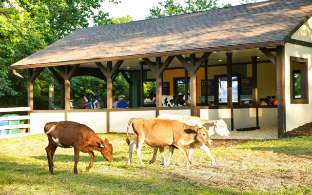 Dairy Exhibit Makes Its Way To Grant’s Farm