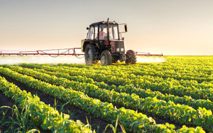 Bayer Accuses Six SEMO Farmers Of Stashing Soybeans