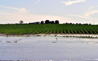 Crop Planting Slides To Muddy Halt