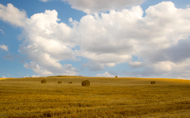 FSA Drought Relief Programs Focus On Easing Hay Shortages