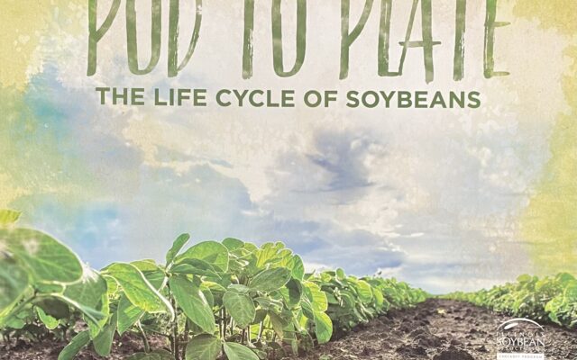 “Pod To Plate” Encourages Literacy, Ag Education For Second Graders
