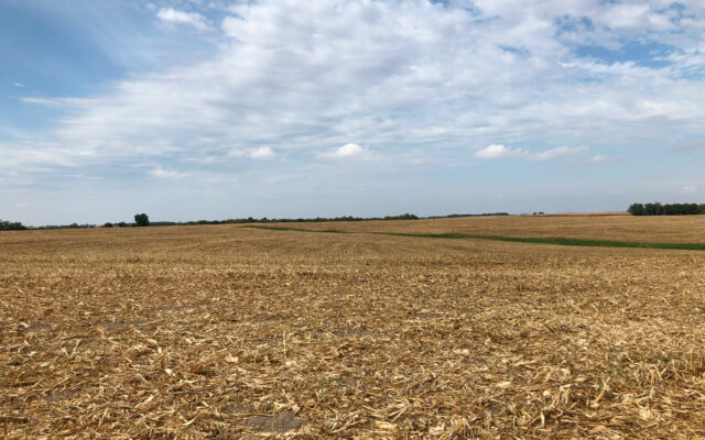 One-Sixth Of Corn, One-Fourth Of Soybeans Remain In Missouri Fields