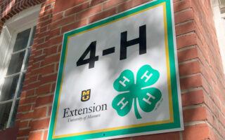 Adult Volunteers Key To 4-H Providing “Opportunity 4 All”