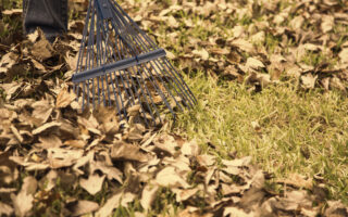 University of Missouri Extension Report: Making Compost From Fallen Leaves