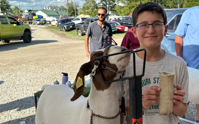Goat Overcomes Broken Leg To Bring Second Straight Grand Champion Ribbon To Houstonia