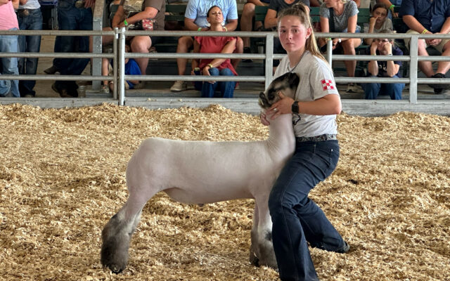 Dahmer Sweeps Market Lamb Contest In Final Appearance