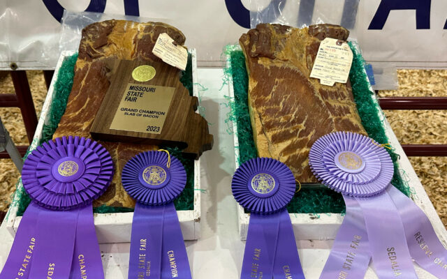Monroe County Bacons Contribute To Record Sale Of Champions