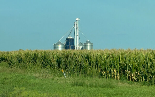 One-Fifth Of Missouri’s Corn Is In The Bin