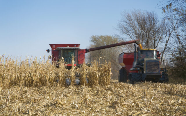 Missouri Producers Grateful For Better Than Expected Yields