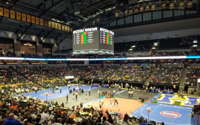 26 Area Wrestlers Place 3rd-6th at State